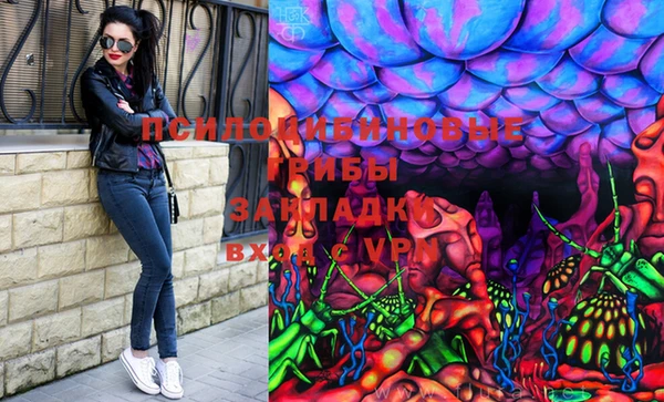 мдпв Аркадак
