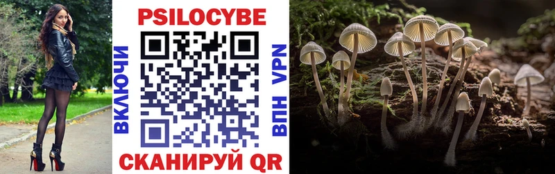 Купить закладки  Яблоновский  Псилоцибиновые грибы мицелий 
